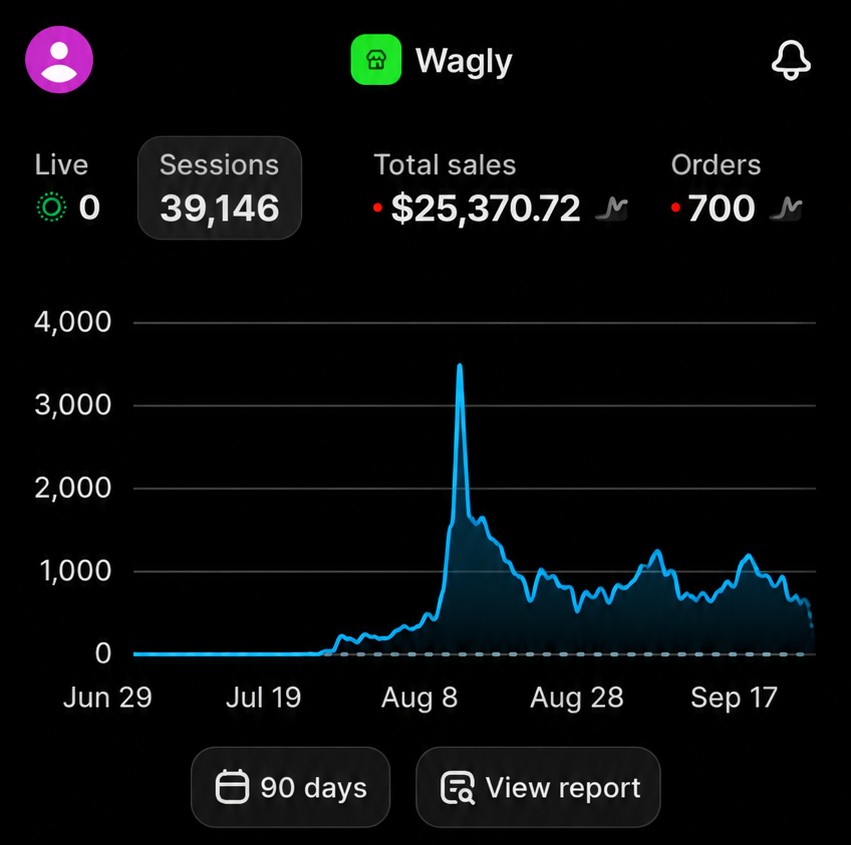 Shopify dashboard for Wagly over 90 days: 39,146 sessions, $25,370.72 in total sales and 700 orders, with daily sessions rising from late July and peaking near 3,500 in mid-August.